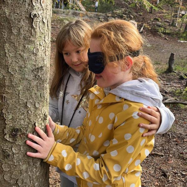 Naturparkmodul Wald