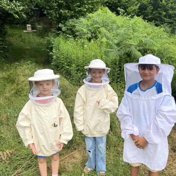 Bienen 1